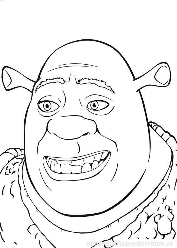 Shrek et Fiona dans un moment tendre au bord du marais
