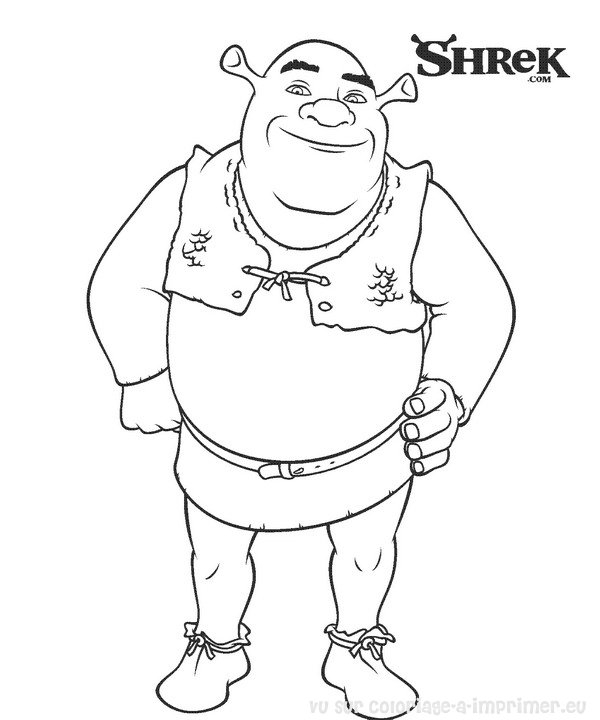 Shrek et Fiona dans une scène de tendresse au bord du marais