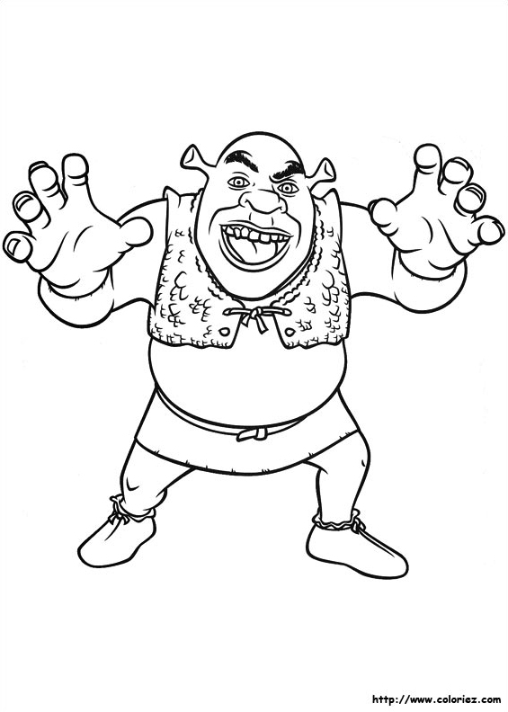 Shrek et l’âne dans la forêt enchantée