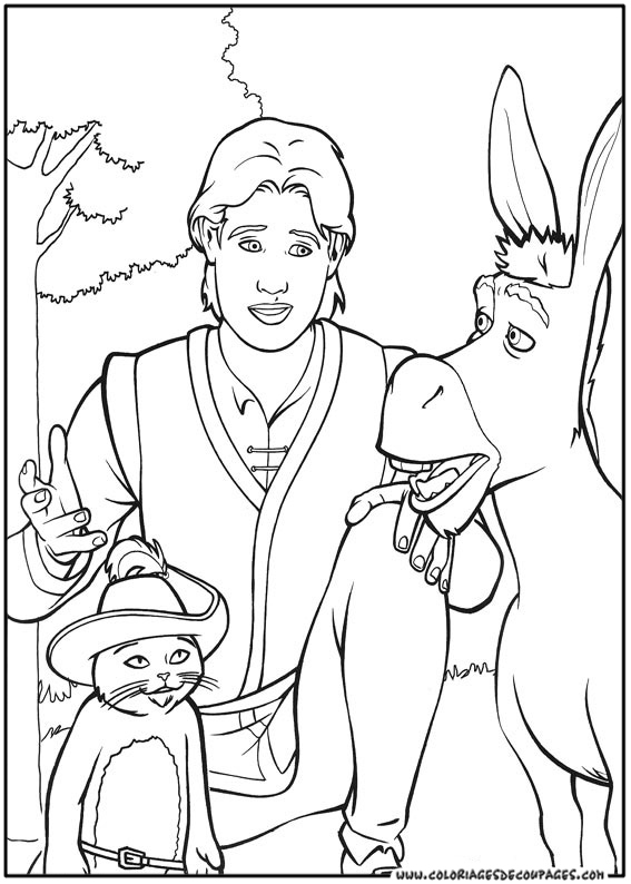 Shrek et Fiona se reposent dans leur marais