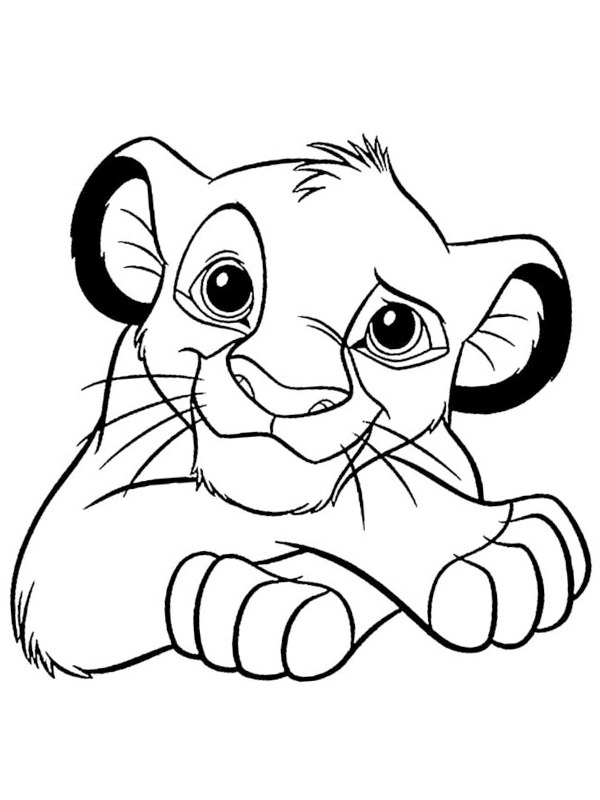 Simba en pleine contemplation dans la savane