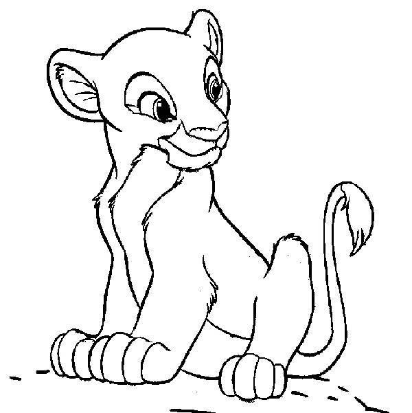 Simba en pleine contemplation sous un ciel étoilé