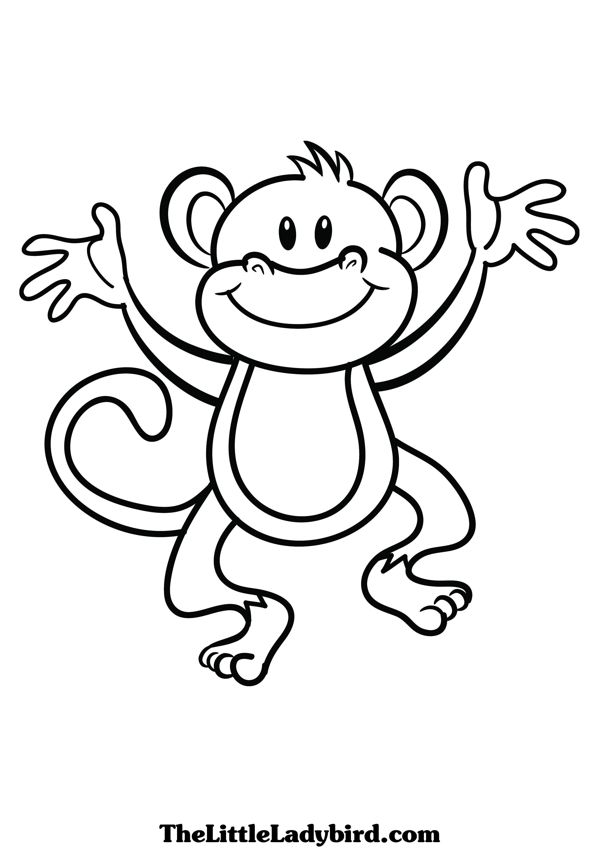 Un singe joyeux suspendu à une branche parmi les feuilles