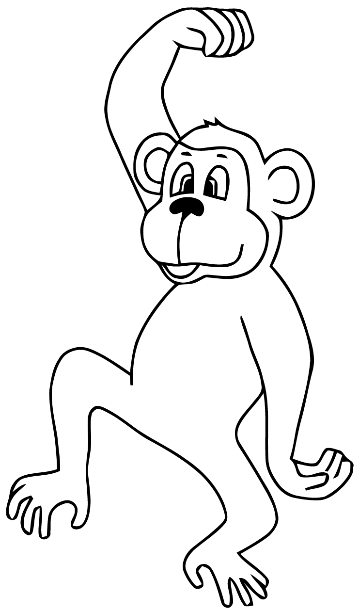 Un singe espiègle suspendu à une branche dans la jungle