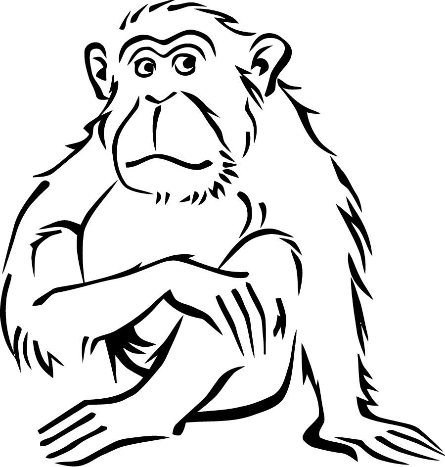 Un singe joyeux s'accrochant à une branche dans la jungle