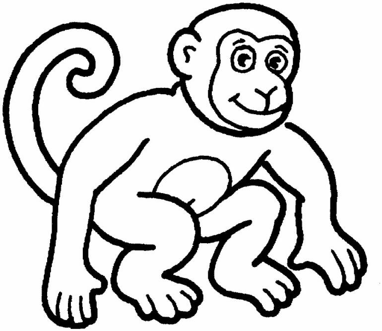 Un singe joyeux se balançant dans les branches d'un arbre