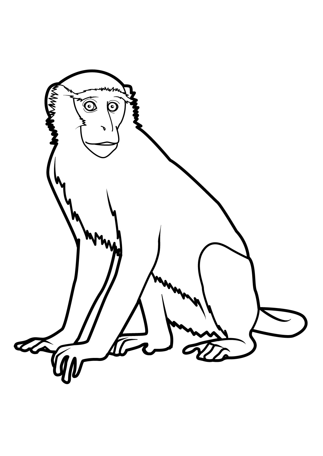 Un singe espiègle suspendu à une branche dans la jungle