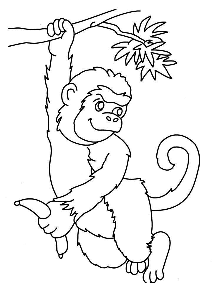 Un singe espiègle suspendu dans les branches d'un arbre