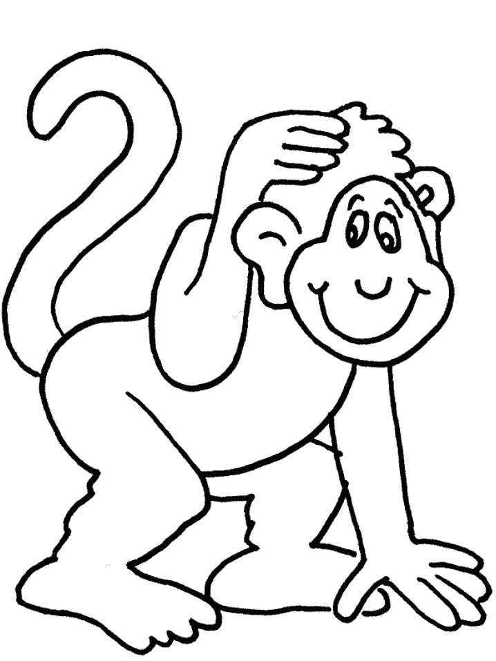 Un singe espiègle accroché à une branche, entouré de feuillage