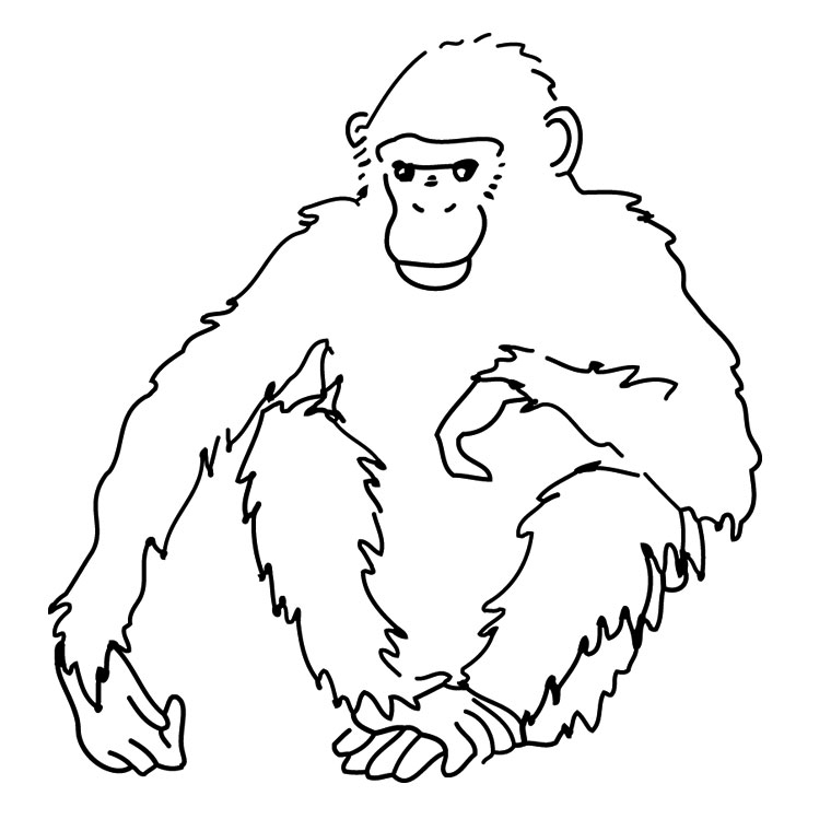Un singe espiègle suspendu à une branche dans la jungle