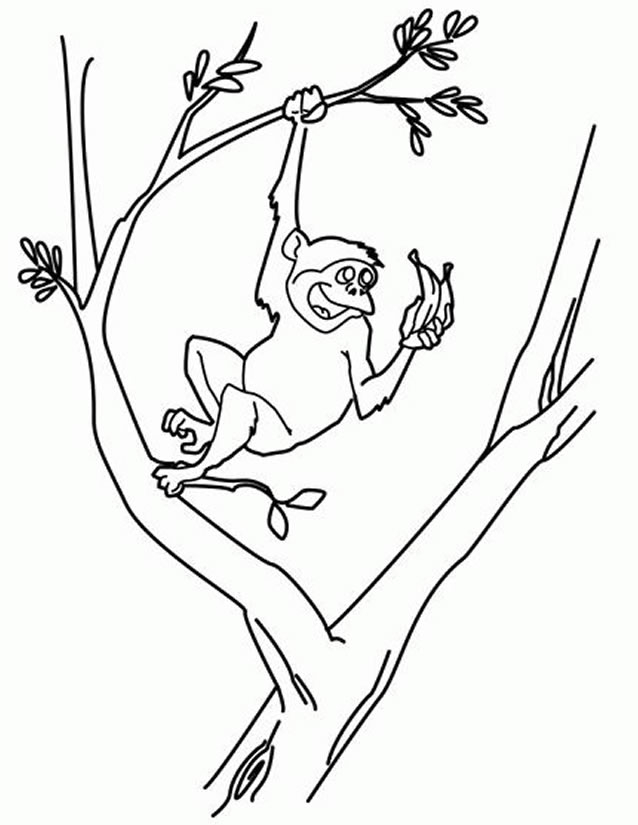 Un singe joyeux suspendu à une branche dans la jungle
