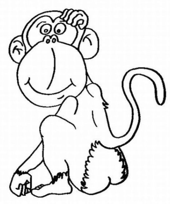 Un singe joyeux suspendu à une branche dans la jungle