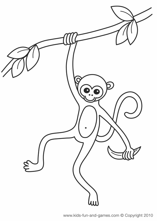 Un singe joueur suspendu dans les arbres
