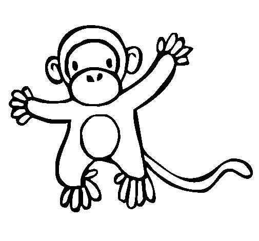 Un singe espiègle suspendu à une branche dans la jungle