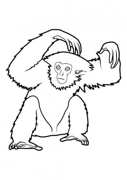 Un singe espiègle se balançant dans la jungle