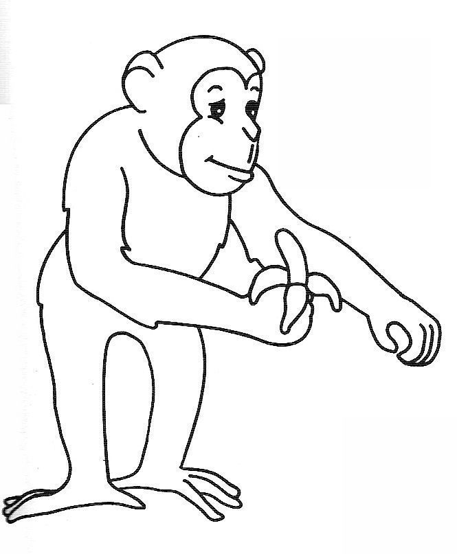 Un singe espiègle s'accrochant à une branche d'arbre