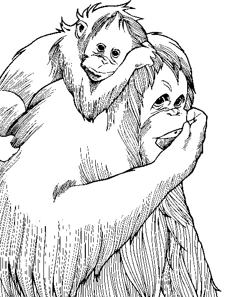 Un singe espiègle suspendu dans les branches d'un arbre
