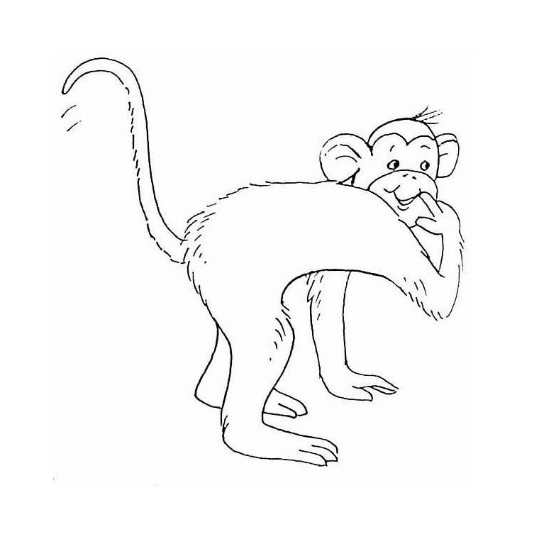Un singe joyeux suspendu à une branche dans la jungle