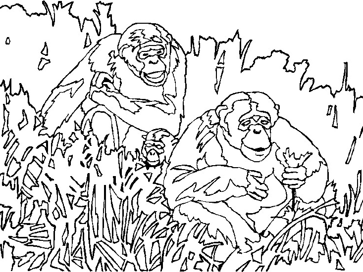 Un singe joyeux accroché à une branche au cœur de la jungle