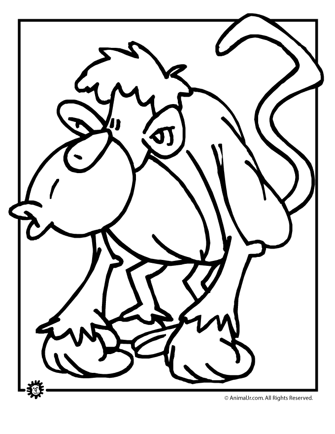 Un singe espiègle dans la jungle