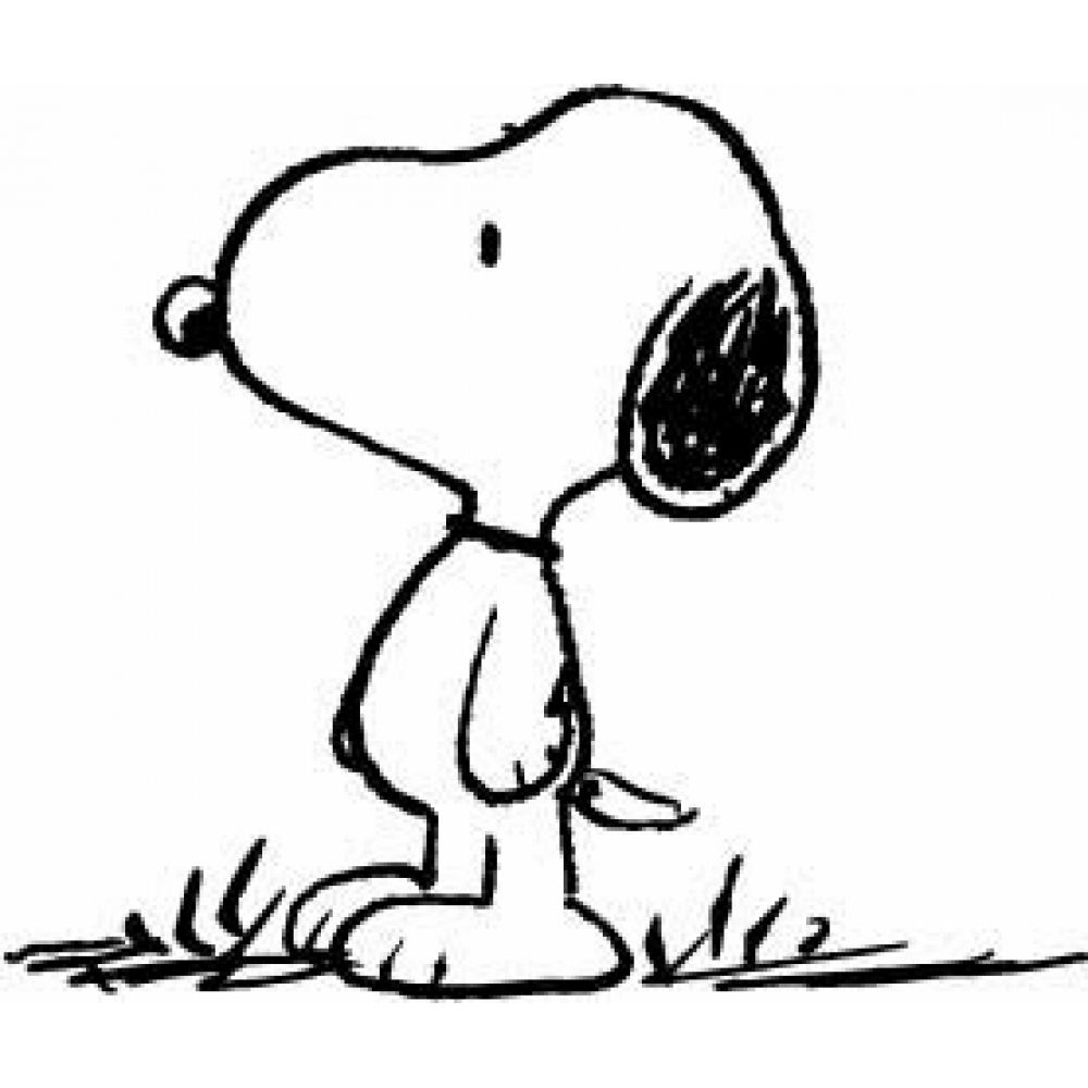 Snoopy en train de rêver sur son doghouse sous un ciel étoilé