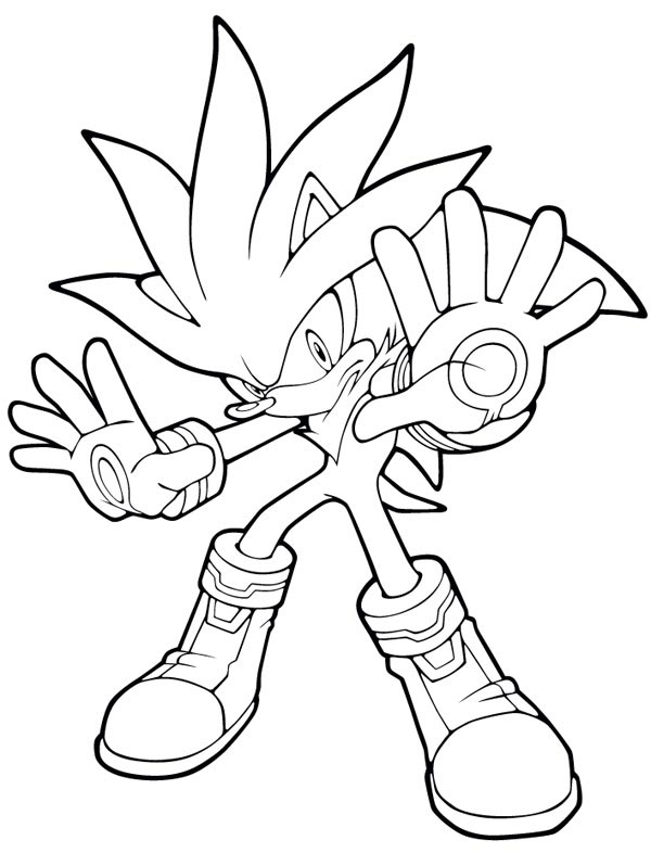 Sonic le hérisson en pleine course sur un chemin sinueux
