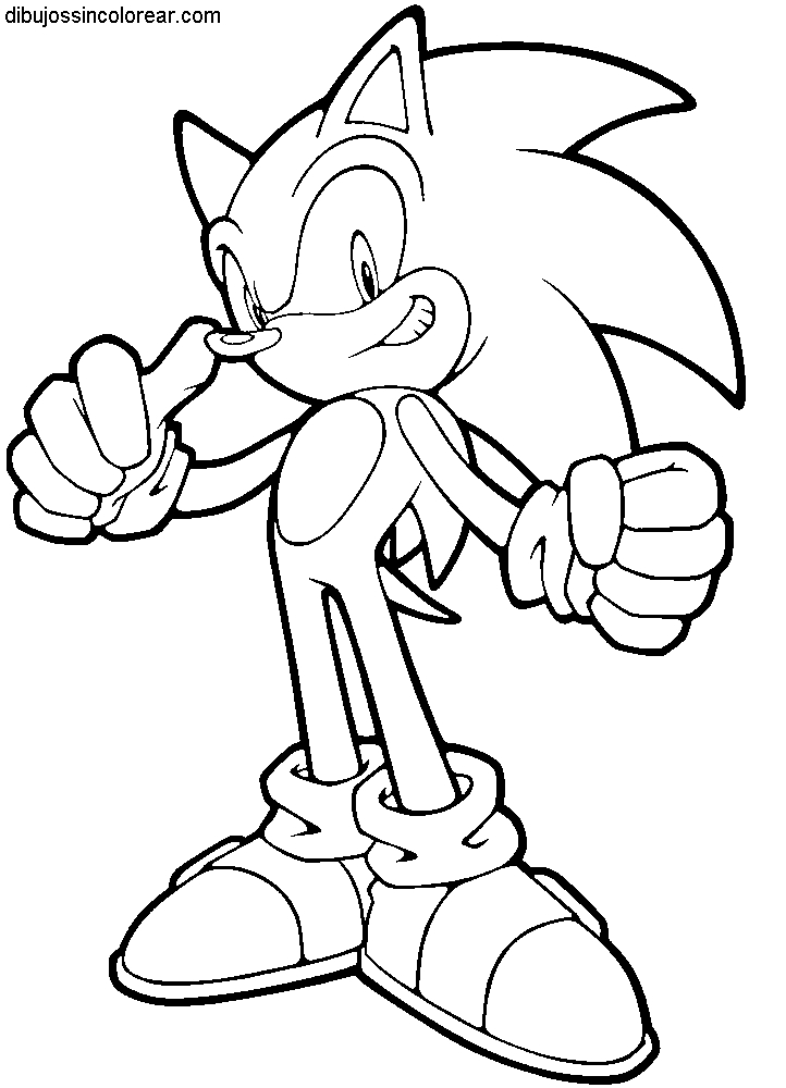 Sonic le hérisson courant à toute vitesse dans un paysage vibrant