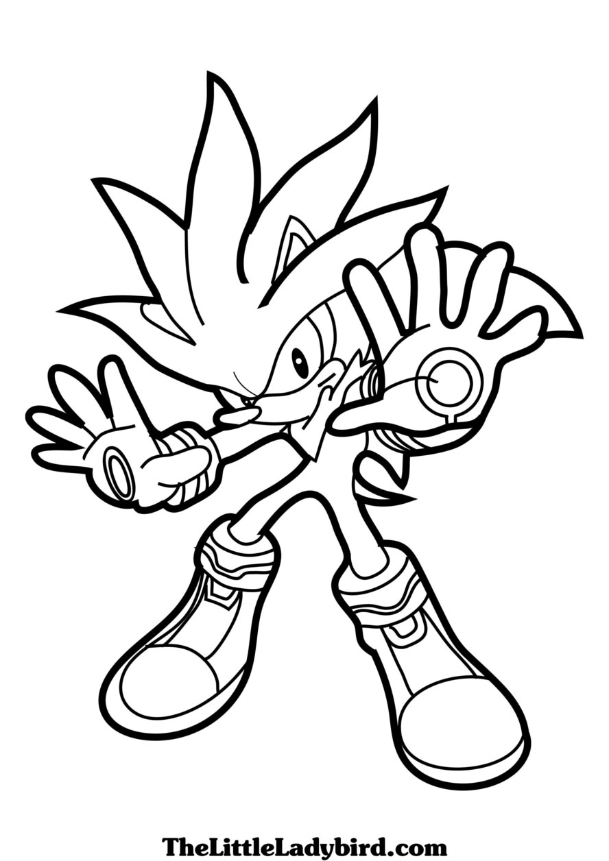 Sonic le hérisson en pleine course sur un chemin sinueux