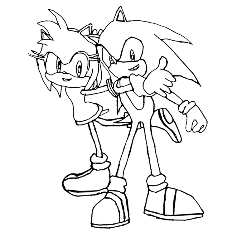 Sonic le hérisson en pleine course à travers un décor dynamique
