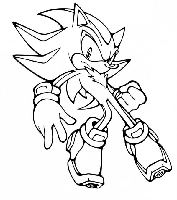 Sonic en pleine course sur un chemin sinueux