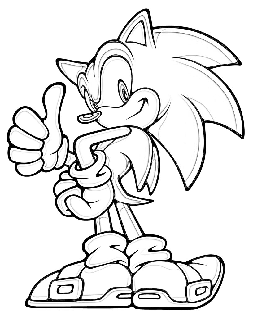 Sonic courant à toute vitesse dans un paysage dynamique