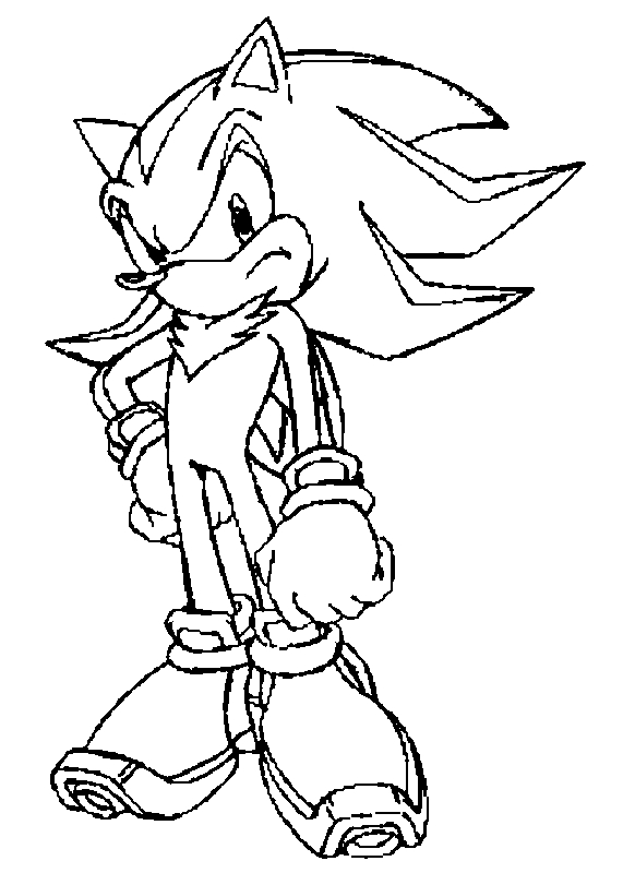 Sonic en pleine course à toute vitesse dans un paysage dynamique