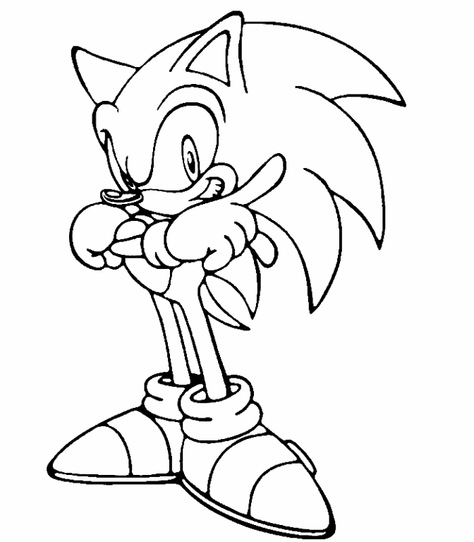 Sonic le hérisson en pleine course à travers un paysage dynamique