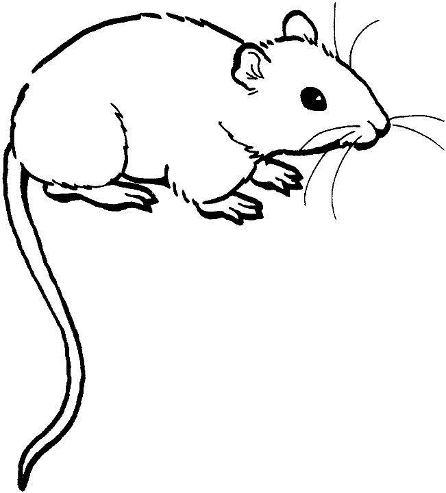 Une souris joyeuse tenant une fleur dans un décor champêtre