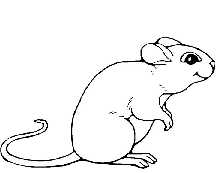 Coloriage d'une souris joyeuse avec un fromage dans un décor simple