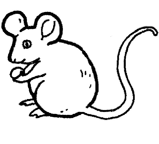 Une souris joyeuse dans un décor champêtre
