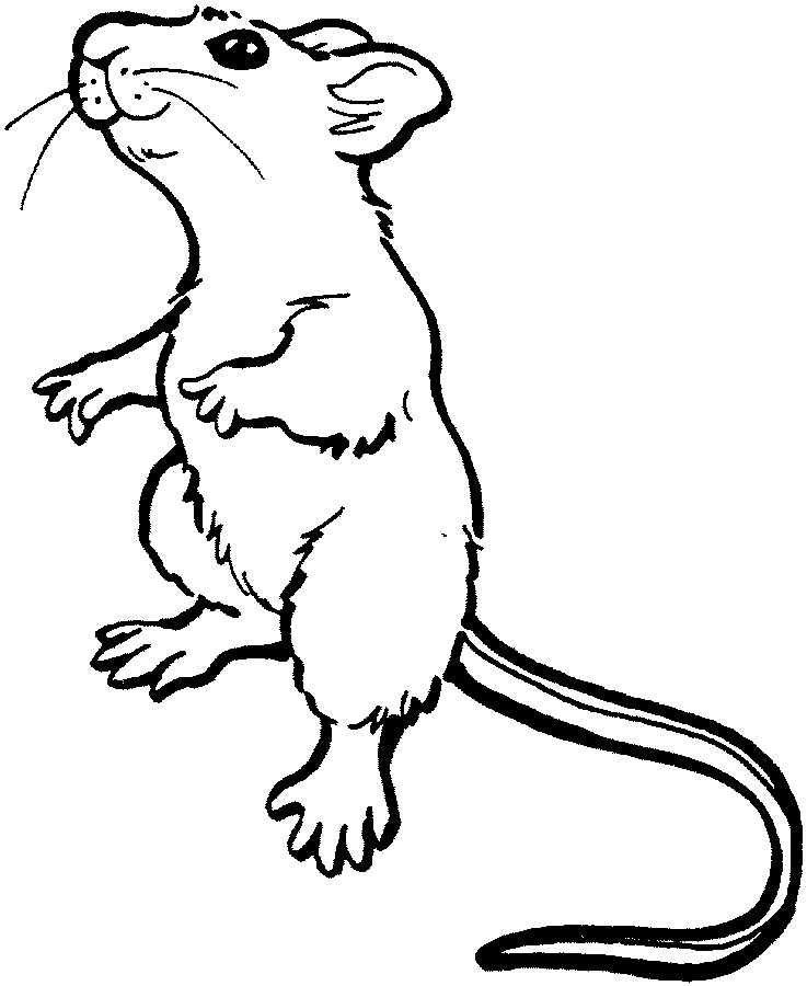 Coloriage d'une souris joyeuse avec un fromage dans un décor champêtre