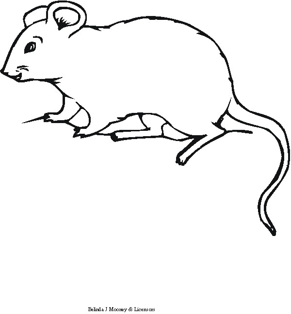 Coloriage d'une souris joyeuse entourée de fleurs