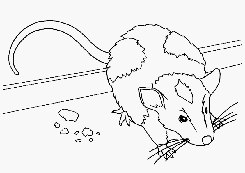 Un adorable dessin de souris entourée de fleurs et d'herbe