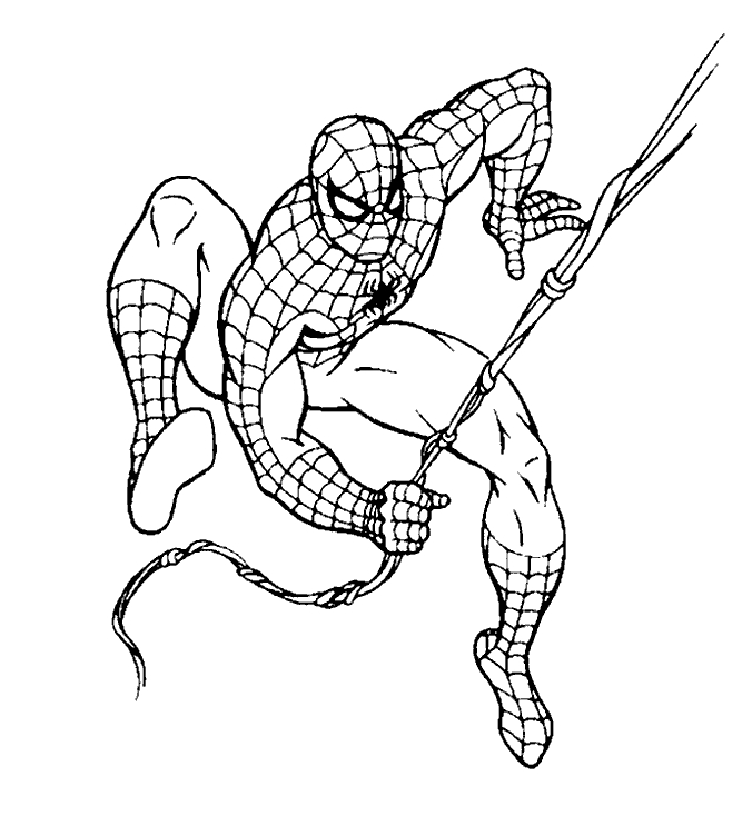 Spiderman en action sur un bâtiment de la ville