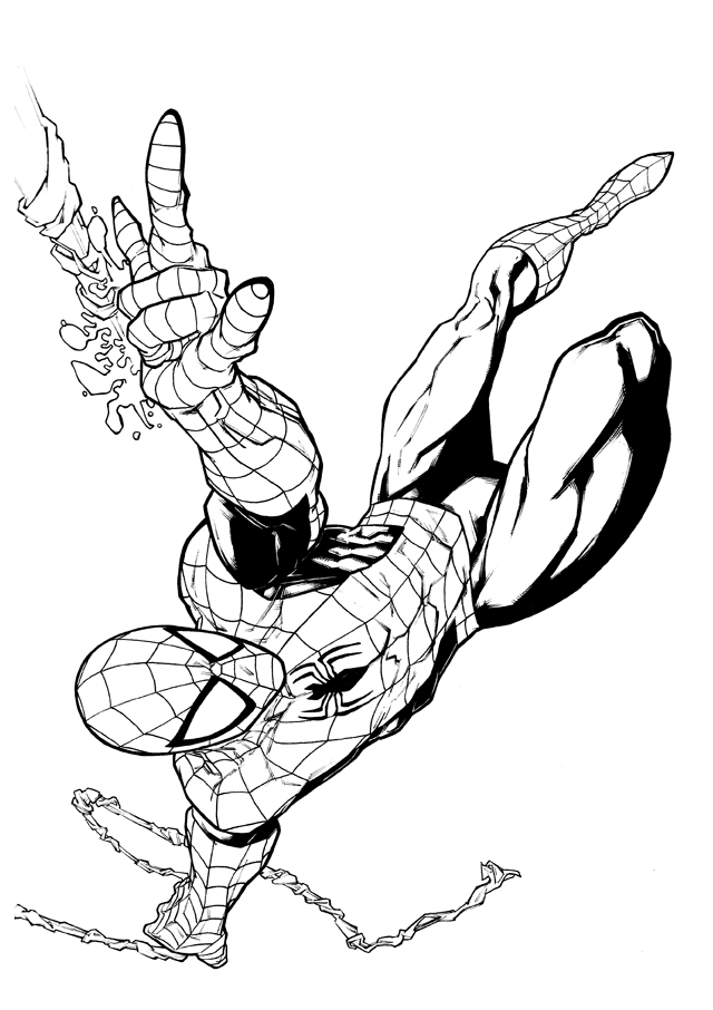 Spiderman en action sur une toile d'araignée