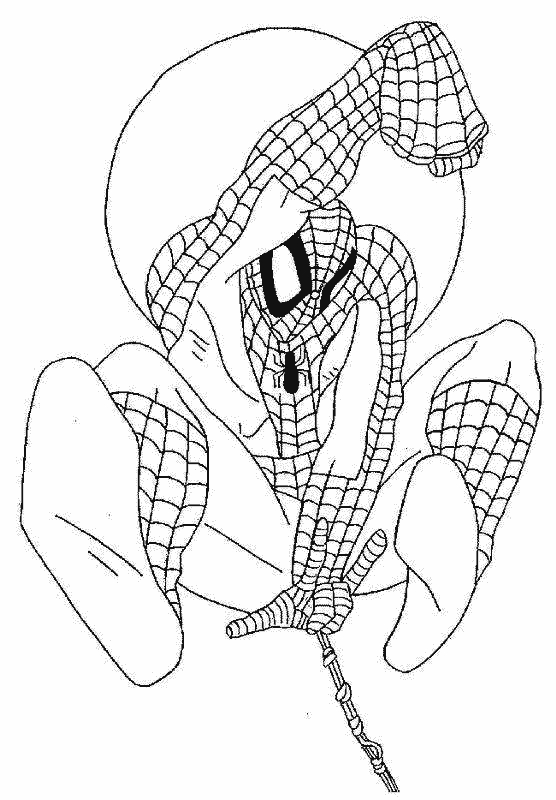Spiderman en pleine action sur un fond urbain