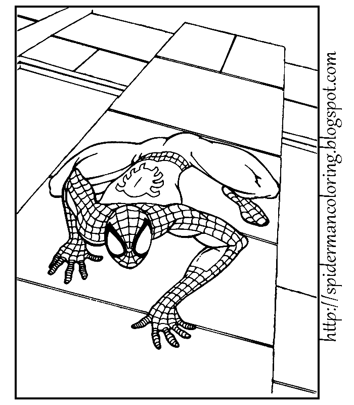 Spiderman en pleine action dans un décor urbain
