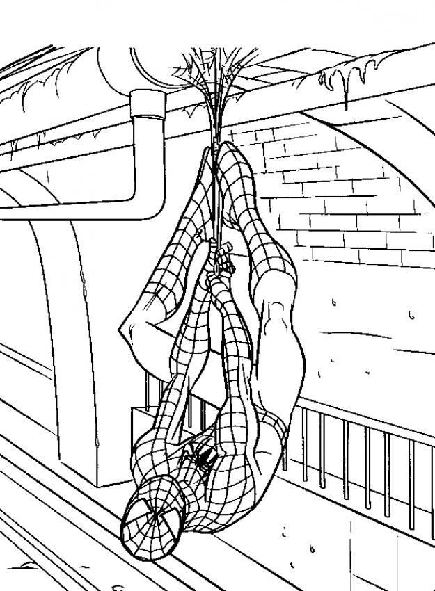 Spiderman en pleine action sur un fond urbain