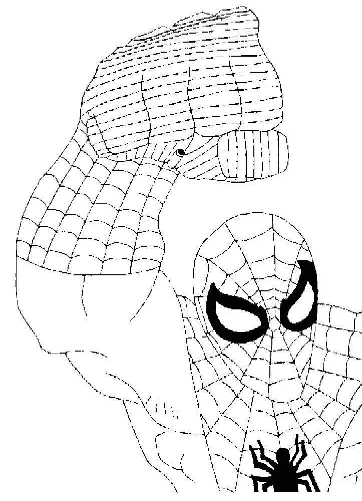 Spiderman en pleine action sur un immeuble de New York