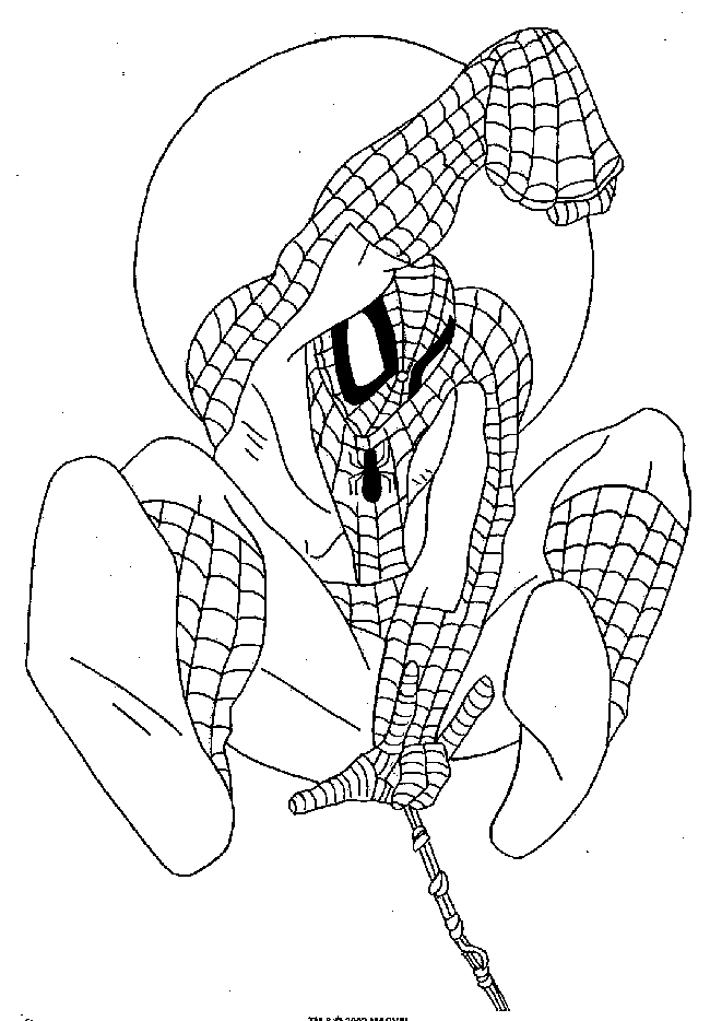 Spiderman en pleine action sur un gratte-ciel