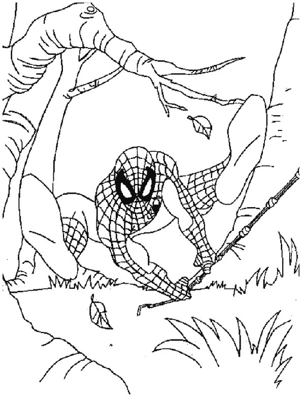 Spiderman en pleine action dans la ville Spiderman en pleine action dans la ville