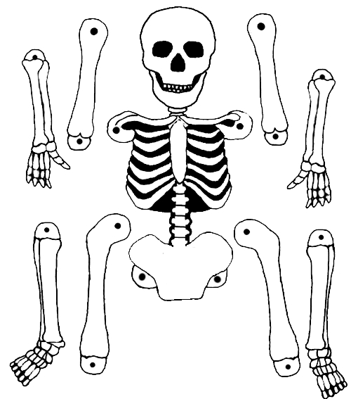 Coloriage d'un squelette dans une pose dynamique