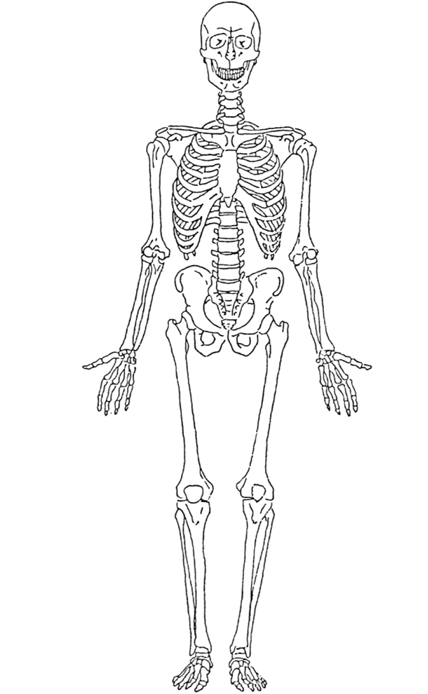 Coloriage d'un squelette dans une posture amusante