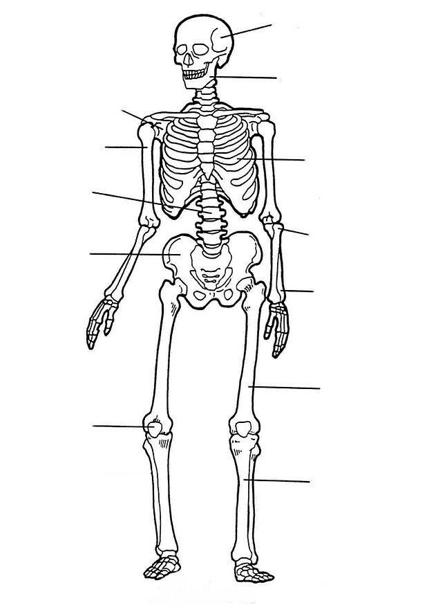 Coloriage d'un squelette dans une pose dynamique avec fond festif